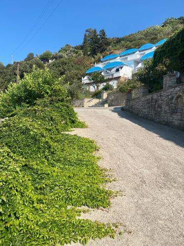 Φωτογραφία από το άλμπουμ του Samos Kalypso Eros sea view σε Livadáki