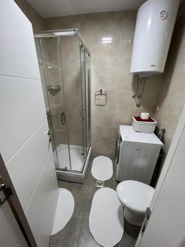 een kleine badkamer met een douche en 2 toiletten bij Apartman Afrodita in Bosanska Gradiška