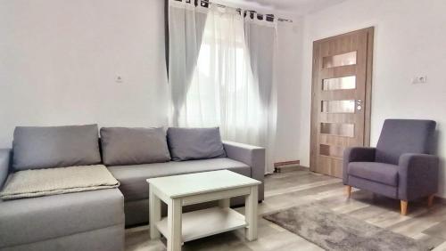 a living room with a couch and a chair at Casa Noastră in Cricău