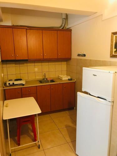 a kitchen with wooden cabinets and a white refrigerator at Apartment Vasco in Paralia Katerinis