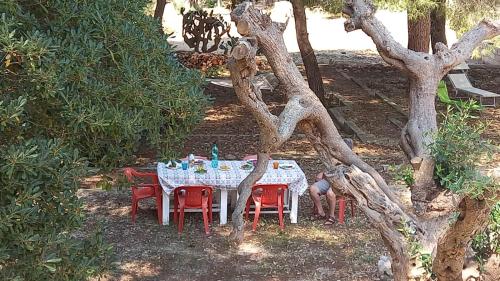 Zahrada ubytování Villa Maria in Puglia con pineta vicino al mare