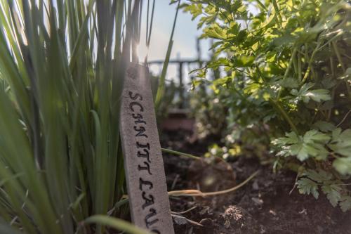 a garden sign in the middle of some plants at Biohof Ebengut in Maria Alm am Steinernen Meer