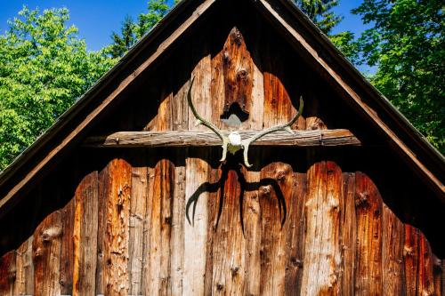 Φωτογραφία από το άλμπουμ του Waldhütte KOSAK - jetzt neu mit Bad & WC σε Trofaiach