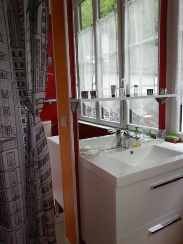 une salle de bain avec un lavabo et un miroir dans l'établissement Chez Ghys, à Eaux-Bonnes