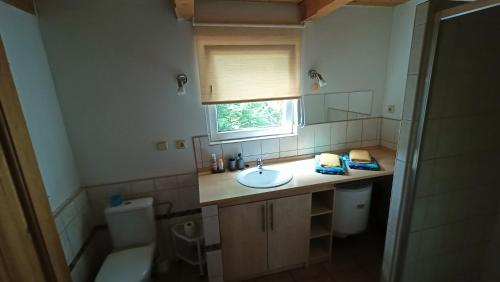 多烏德萊比的住宿－靠近捷克布傑約維采的多德里貝山林小屋，一间带水槽和卫生间的浴室以及窗户。