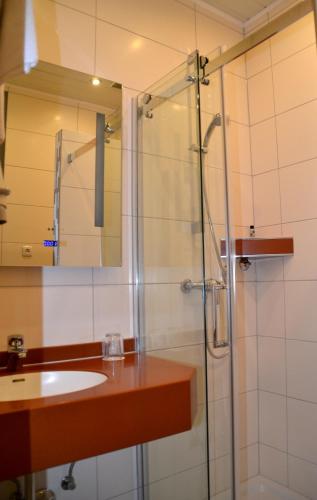 a bathroom with a sink and a shower at Alpina Hotel in Rosenheim