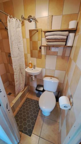 a small bathroom with a toilet and a sink at Wigierska Buchta (DOMKI) in Rosochaty Róg