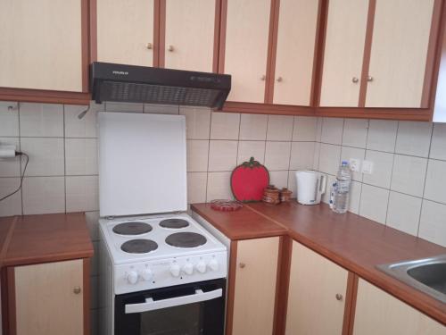 Кухня или мини-кухня в EVANTHIA S HOUSE
