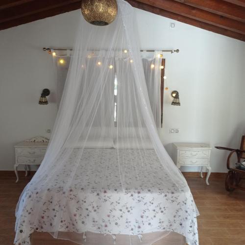 a bedroom with a bed with a mosquito net at Casa Rural Viñas Perdidas in Béjar