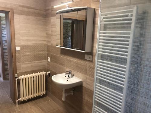 a bathroom with a sink and a mirror and a radiator at Relax 38 in Prievidza