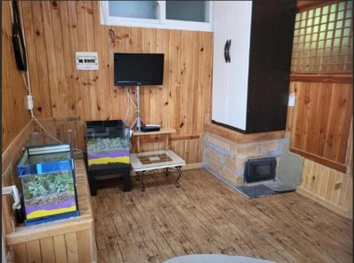 sala de estar con chimenea y TV de pantalla plana en Yeongwol Healing Forest Pension, en Yeongwol