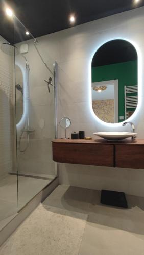 une salle de bain avec une douche, un lavabo et un miroir dans l'établissement L'Âme Bleue, à Cassis