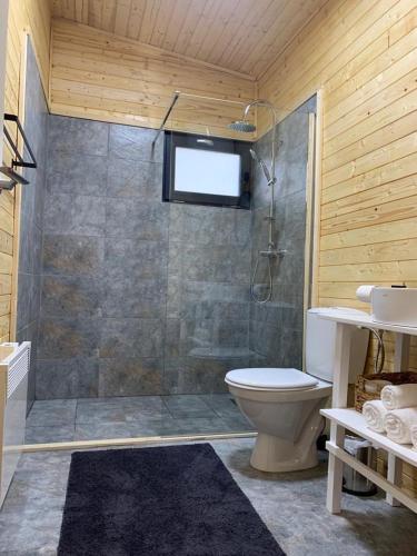 a bathroom with a shower and a toilet and a television at Casutele din Poienita in Comarnic