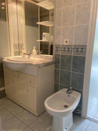 a bathroom with a toilet and a sink at Sweet Home - 55m2 appt, garden, swimming pool, parking in Toulouse