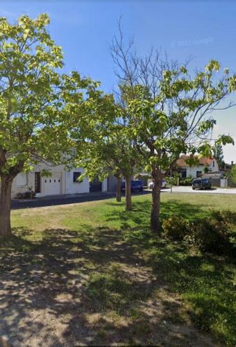 a group of trees in a yard with a house at À 5 min de Moulins maison de ville in Yzeure