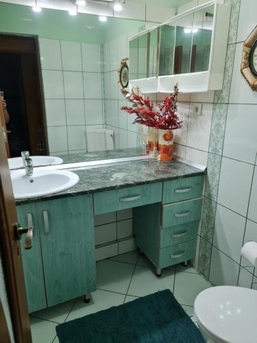 La salle de bains est pourvue d'un lavabo et d'un miroir. dans l'établissement Apartament Retreat, à Drăgăşani