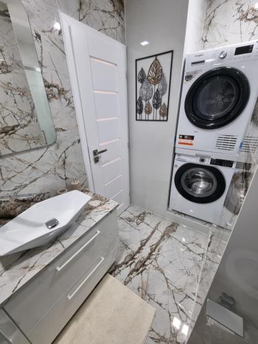 a bathroom with a washing machine and a sink at ALPHA Apartman Malacky in Malacky