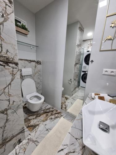 uma casa de banho com um WC branco e um lavatório. em ALPHA Apartman Malacky em Malacky
