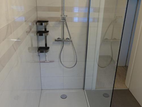 a bathroom with a shower with a glass door at Ferienwohnung Hankeln in Winterberg