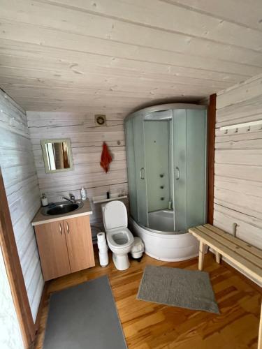 a bathroom with a shower and a toilet and a sink at Sodyba Duobys in Alanta