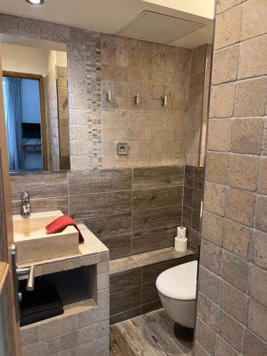 La salle de bains est pourvue d'un lavabo, de toilettes et d'un miroir. dans l'établissement MaisonZen, à Paris