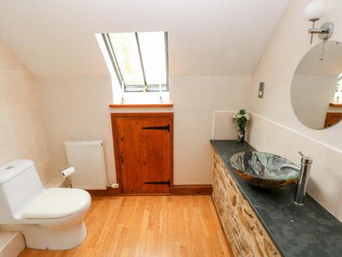 a bathroom with a sink and a toilet at Y Beudy Garndeifog in Llanychaer