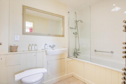 a bathroom with a toilet and a sink and a shower at Hop Cottage in East Dean
