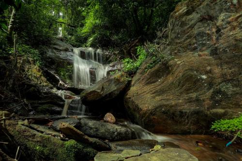 a waterfall in a forest with rocks and trees at Prakruthi Home Stay in Sollebail