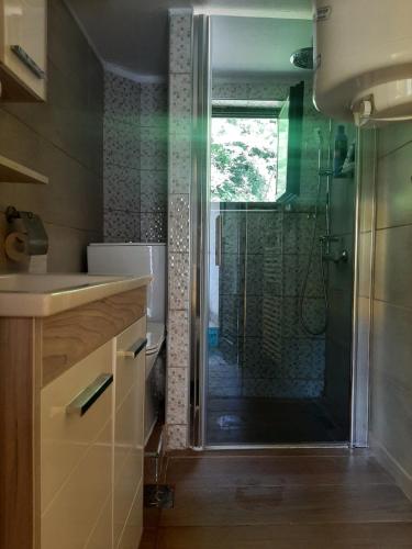 een badkamer met een douche en een glazen deur bij Privatni smještaj Radić in Teslić