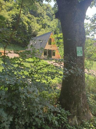 uma casa sentada atrás de uma árvore num campo em Cabana A Morarului em Teiuş