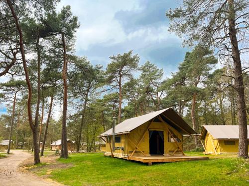 Tienda amarilla en un campo con árboles en Huttopia De Veluwe, en Kootwijk