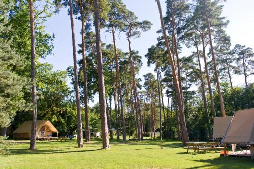 una zona de picnic con árboles y una cabaña en Huttopia De Veluwe en Kootwijk