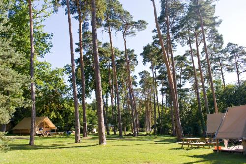 a picnic area with trees and a cabin at Huttopia De Veluwe in Kootwijk