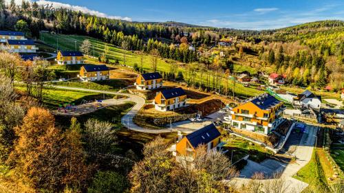 an aerial view of a village in the mountains at Wonder Home - Domki Hillside tuż przy stoku narciarskim - na terenie kompleksu plac zabaw i zewnętrzna siłownia in Karpacz
