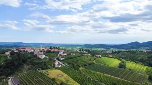 an aerial view of a vineyard with a town in the middle at Maravida Vacation Rooms in Dobrovo