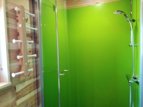 a green bathroom with a shower with a glass door at La Bucolique de Tahier in Ohey