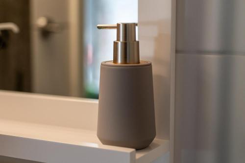 a soap dispenser on a bathroom counter with a mirror at FeWo 1 ''Am Rodelberg'' in Priborn