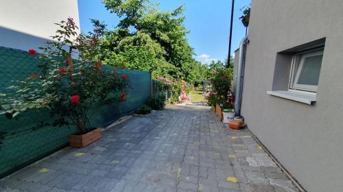 El barrio en el que está la casa de huéspedes o un barrio cercano