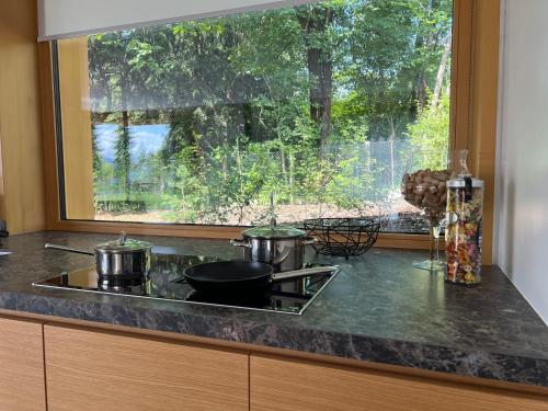 布萊德的住宿－Ambient Resort Bled，厨房柜台配有炉灶上的锅碗瓢盆