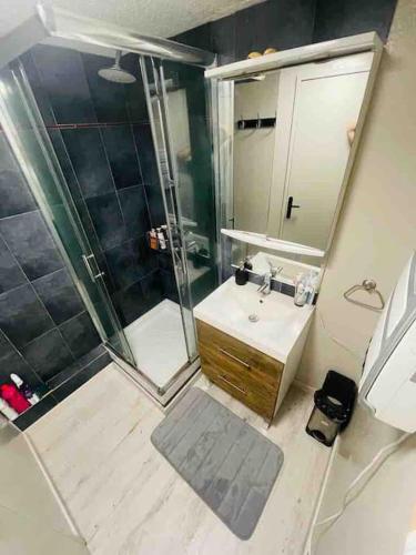 une salle de bain avec douche et lavabo dans l'établissement Cosy Villa Patio, à Seignosse