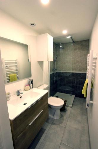 une salle de bain avec un lavabo, des toilettes et une douche dans l'établissement Joli appartement avec balcon au coeur de Forcalquier, à Forcalquier