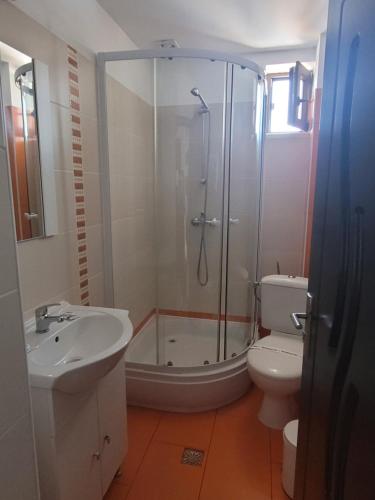 a bathroom with a shower and a toilet and a sink at Pensiunea Daiana in Mamaia Nord