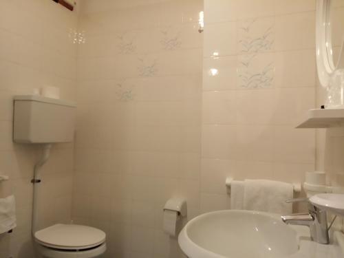 a white bathroom with a toilet and a sink at Hotel Adele in Livigno