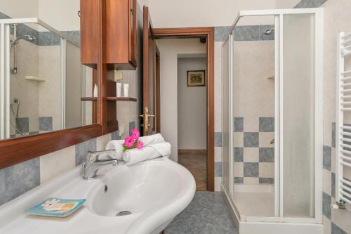y baño con lavabo y ducha. en Il Pino - appartamento Ciliegio, en Cecina