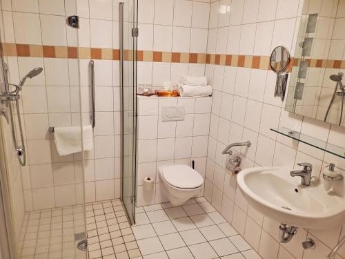 a bathroom with a shower and a toilet and a sink at Landhotel Westerwaldgrill in Höhn