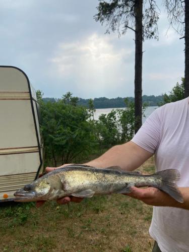 a man holding a fish in his hand at Senči in Koknese