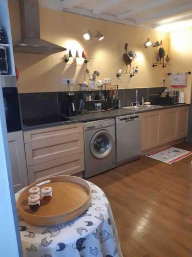 une cuisine avec un évier et une machine à laver dans l'établissement Maison au bord de l'Allier entièrement rénovée, à Joze