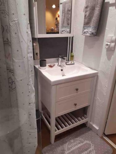 une salle de bain avec un lavabo blanc et un miroir dans l'établissement Maison au bord de l'Allier entièrement rénovée, à Joze