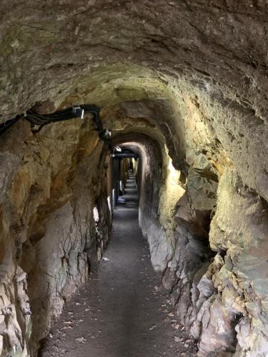 a tunnel in a cave with a long path at Ritterstube - Eifelstuben mit Charme, Nähe See und Burg, außergewöhnlich, Vulkaneifel in Ulmen