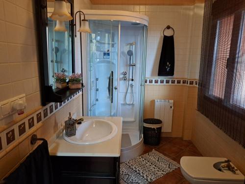 uma casa de banho com um chuveiro e um lavatório. em Casa El Albero (Torcal-Caminito del Rey) em La Joya